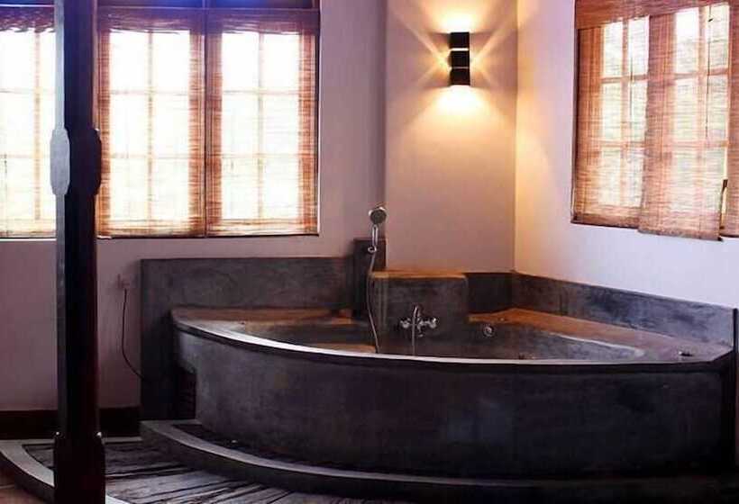 Отель The Mount Royal