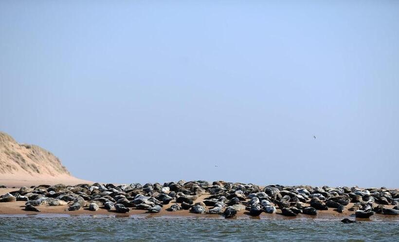 Отель Newburgh Inn