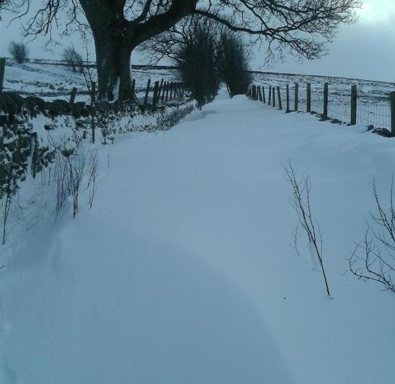 ホテル Old Coach House At The Golden Lion