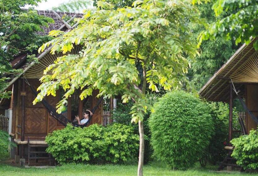 בית מלון כפרי Pai Country Hut