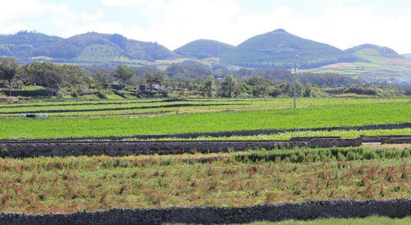 Pedras Do Mar Resort & Spa