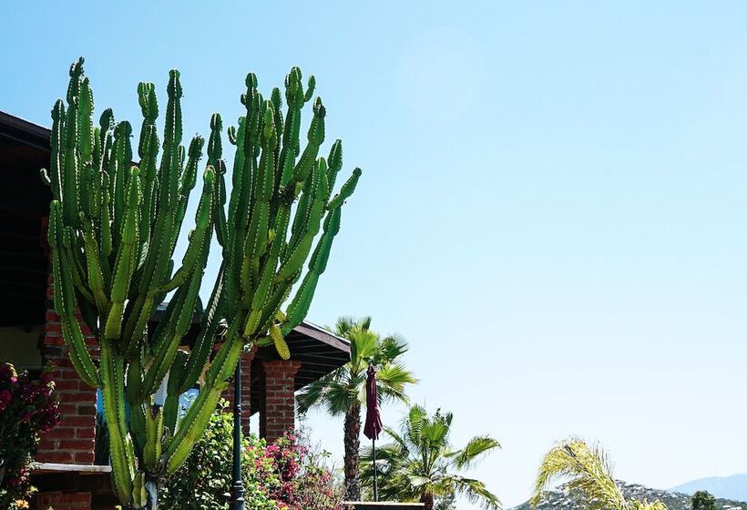 호텔 Rancho Cien Piedras