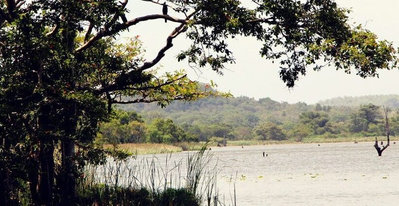 호텔 Randeniweva Resort