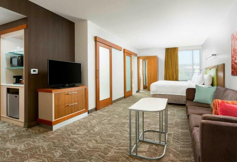 酒店 Springhill Suites By Marriott San Diego Mission Valley