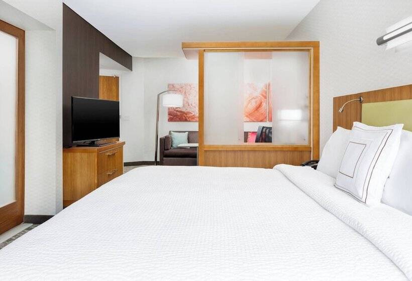 酒店 Springhill Suites By Marriott San Diego Mission Valley