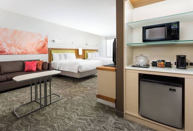 酒店 Springhill Suites By Marriott San Diego Mission Valley