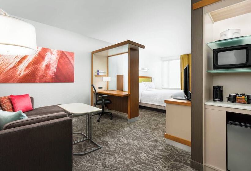 酒店 Springhill Suites By Marriott San Diego Mission Valley