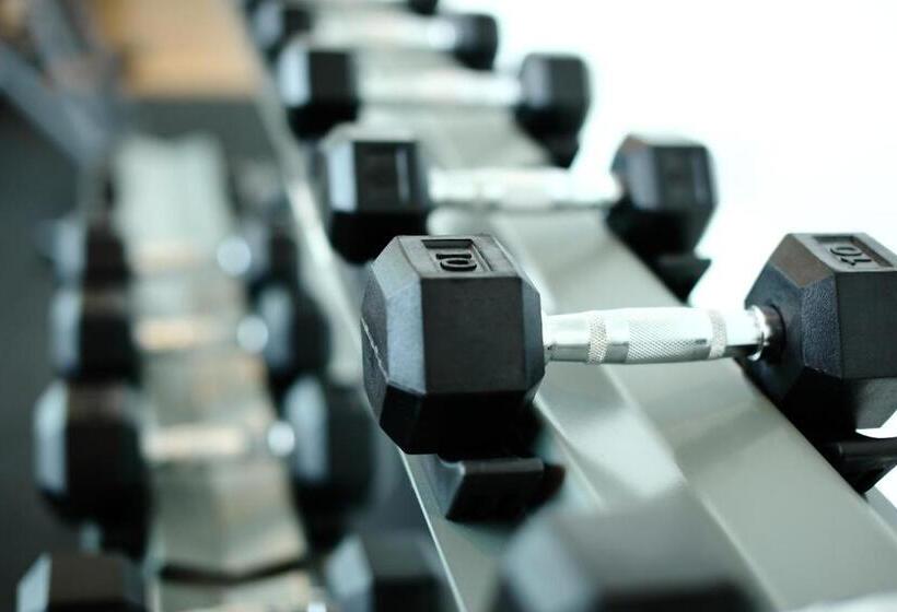 فندق Symphony Suites