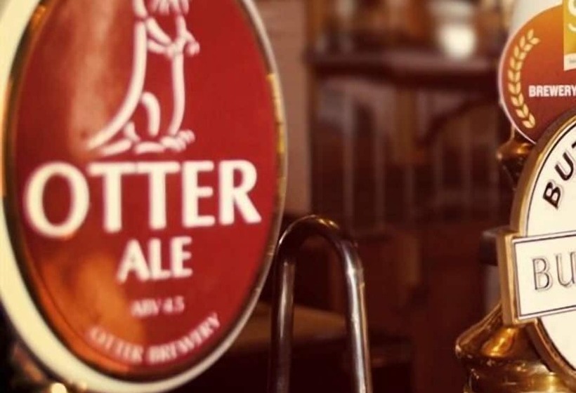 فندق The Old Inn