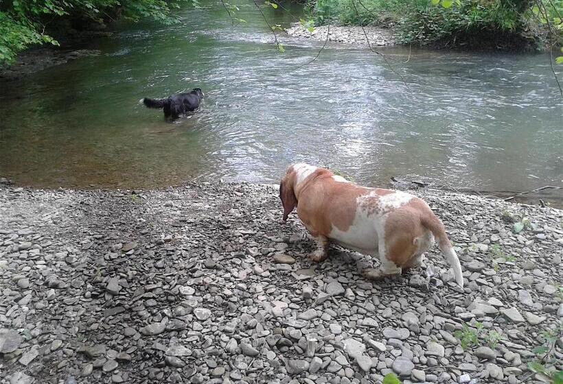 ベッドアンドブレックファースト Mortimer Trail B And B