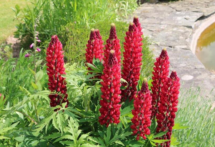 ベッドアンドブレックファースト Mortimer Trail B And B