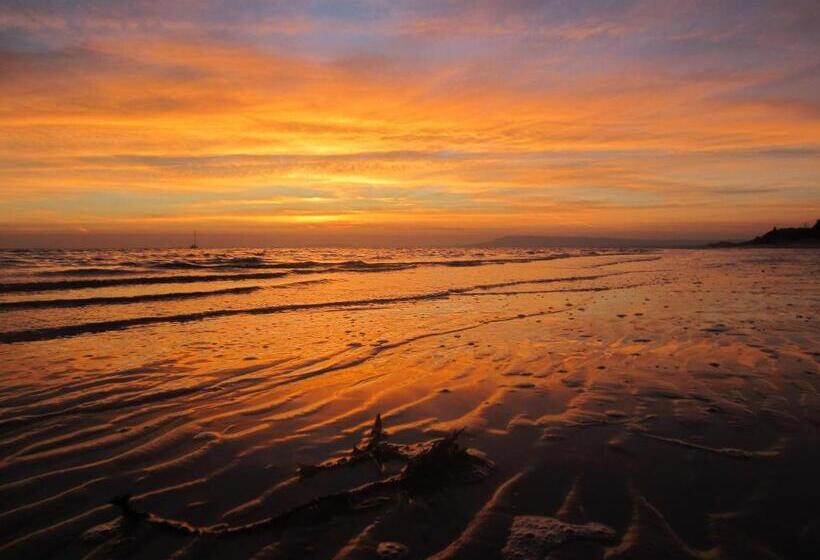 فندق على الطريق Boathouse Resort Studios And Suites