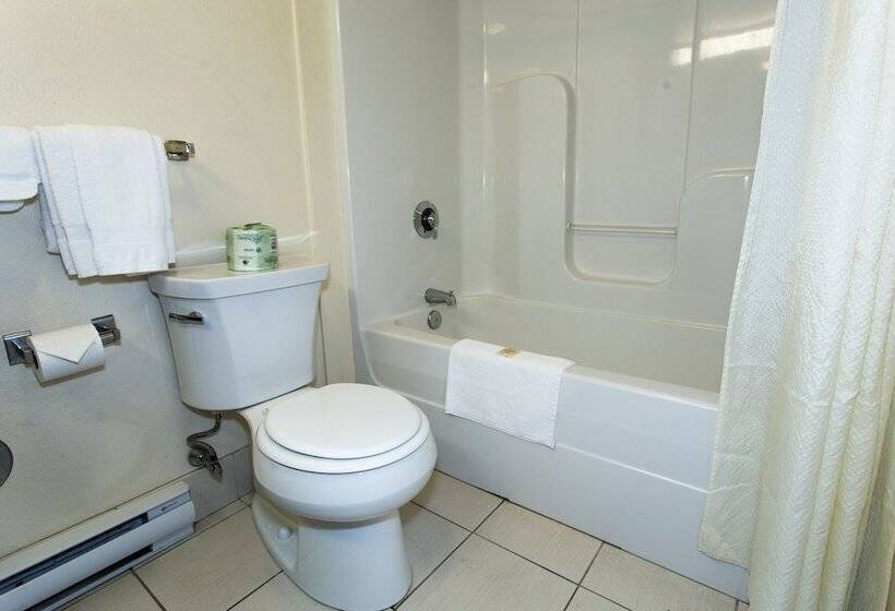 מוטל The Liberty Lodge Williamsport