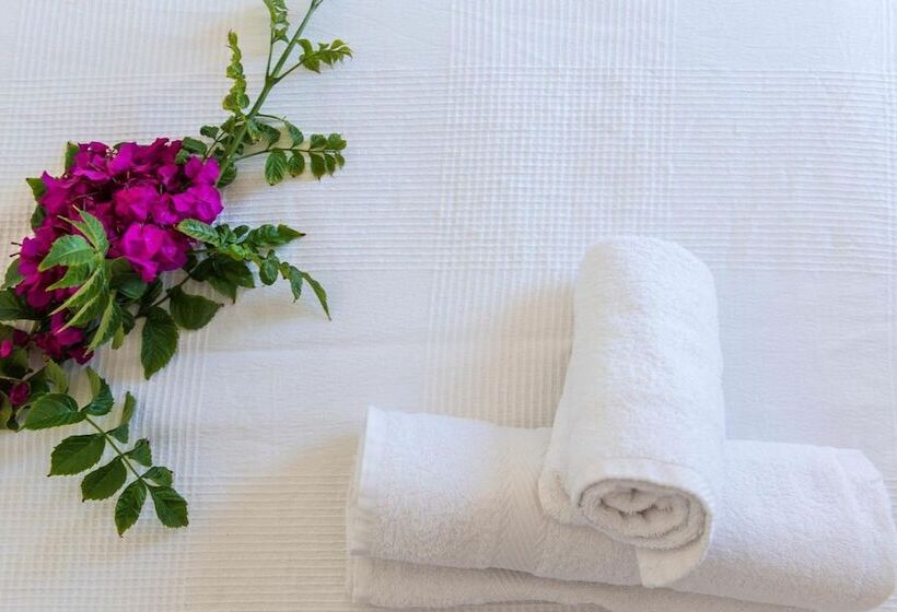 פנסיון Alana Mykonos