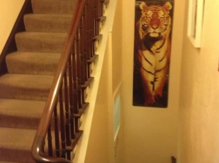 ペンション Grisnoir Guest House