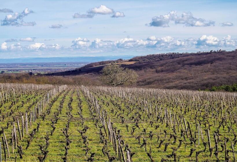 Пансион Domaine Joseph Lafarge Wine Resort B&b