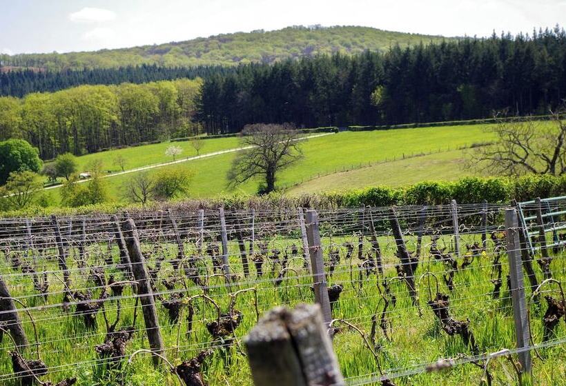 Пансион Domaine Joseph Lafarge Wine Resort B&b