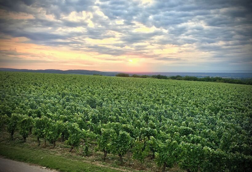 Пансион Domaine Joseph Lafarge Wine Resort B&b