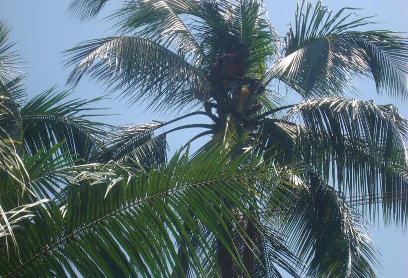 Пансион Adara Negombo