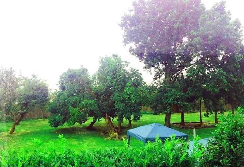 بنسيون Stifford Clays Farm