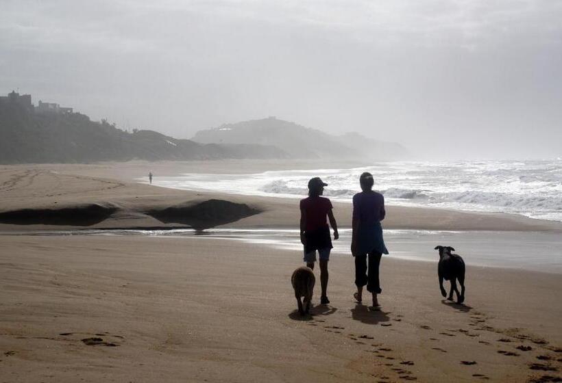 膳宿费 The Pink Lodge On The Beach