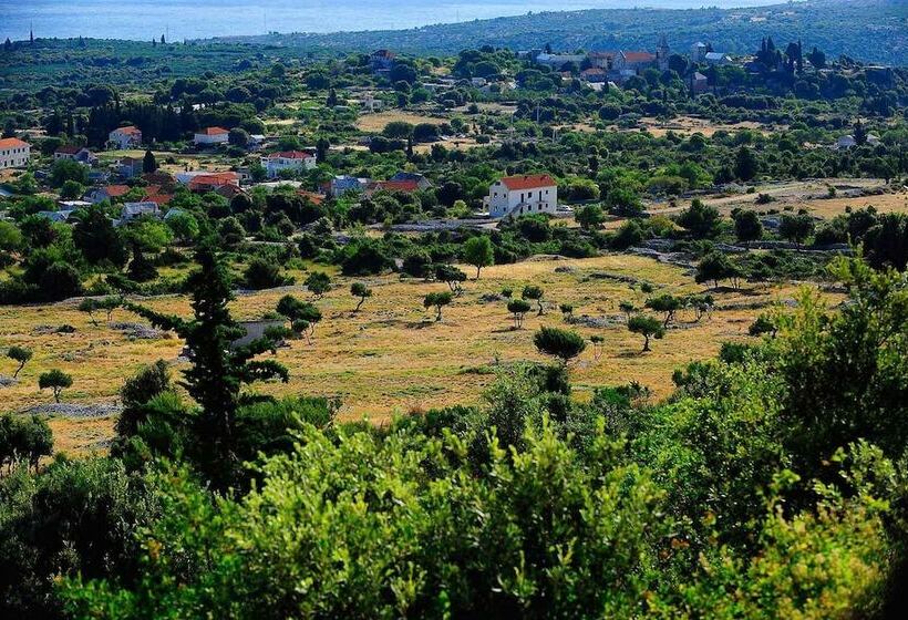 פנסיון Villa Skula