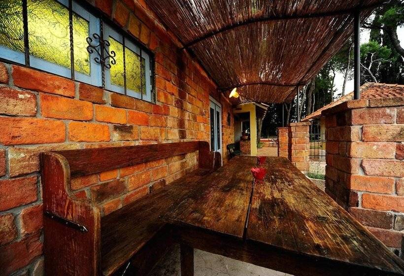 פנסיון Villa Skula