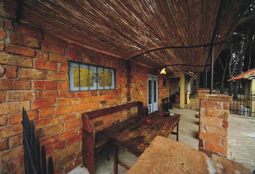 פנסיון Villa Skula