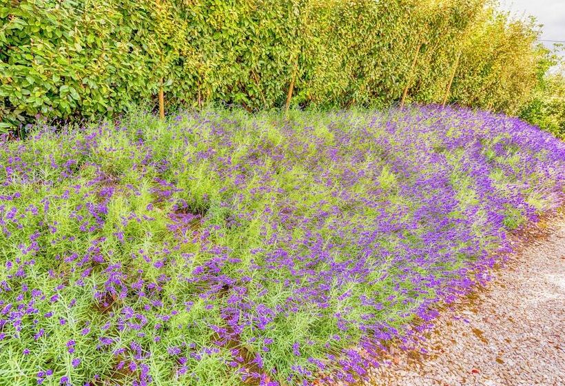 ペンション Whitley Coach House