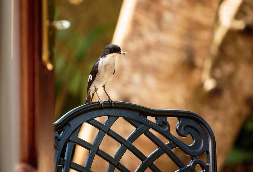 펜션 Wilderness Manor