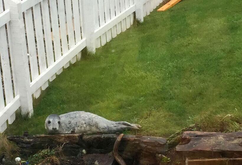 Pew With A View  Seafront Cottages
