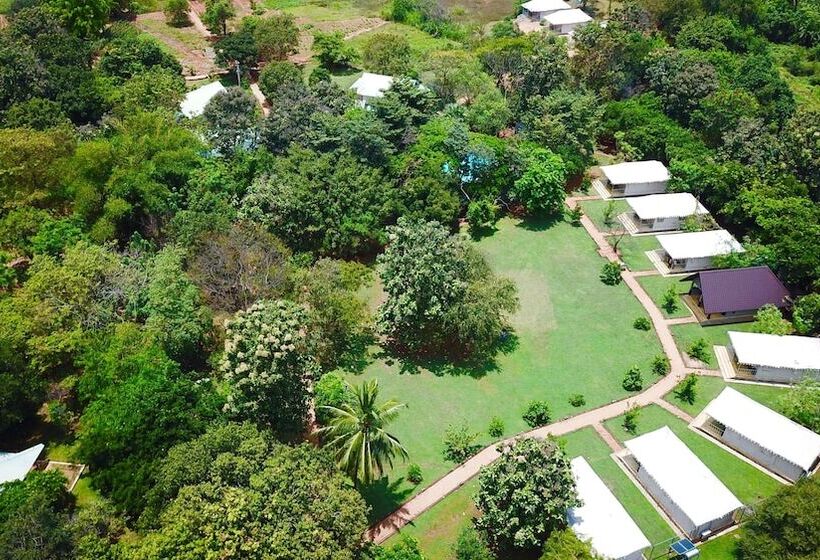 Rangiri Dambulla Resort