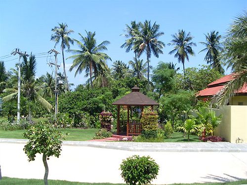 Samui Grove Villas
