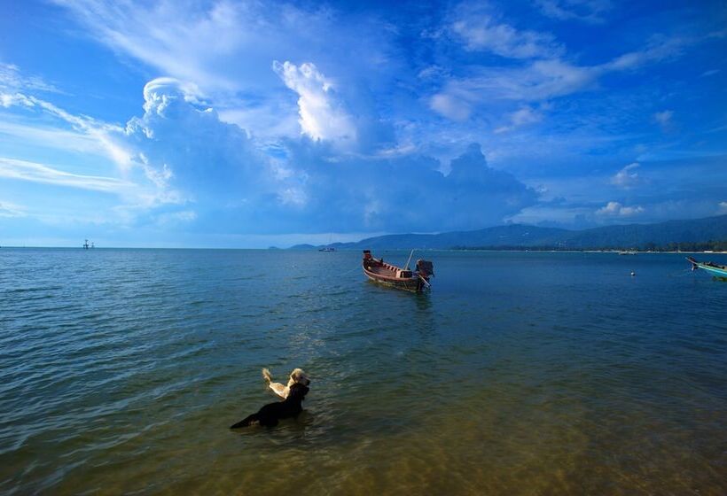 אתר נופש At Samui Haus