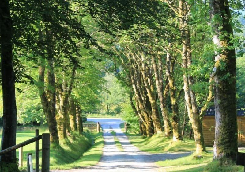 민박 Tirindrish House