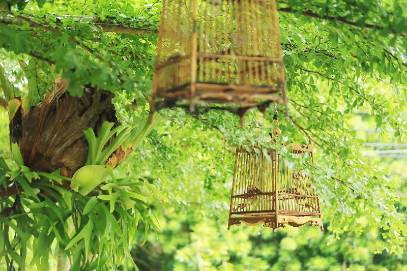 Viva Vacation Resort