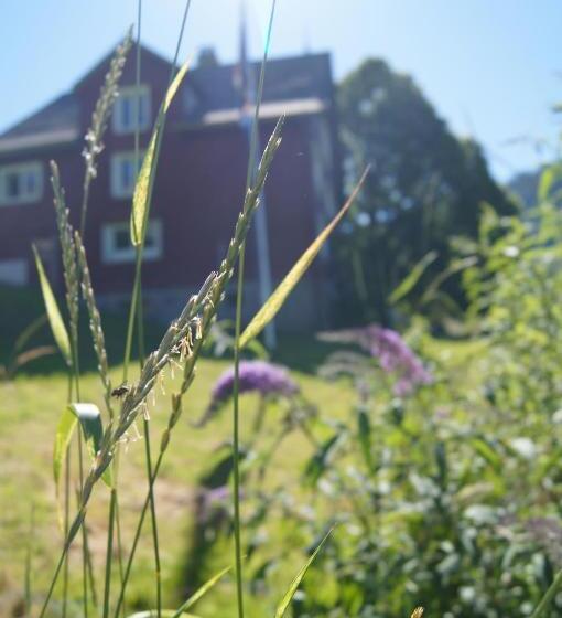 旅馆 Amdenlodge Berg Chalet In Amden Am Walenssee Event, Seminar, Ferienlager