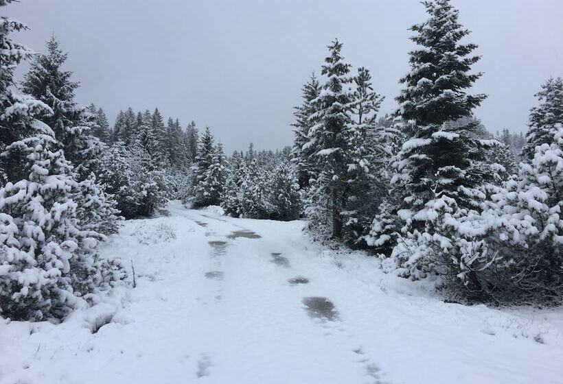 旅馆 Amdenlodge Berg Chalet In Amden Am Walenssee Event, Seminar, Ferienlager