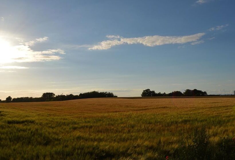 مبيت وإفطار Femhøj