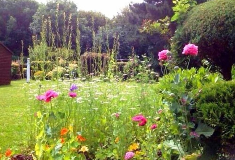 住宿加早餐  La B And B Guest Accommodation