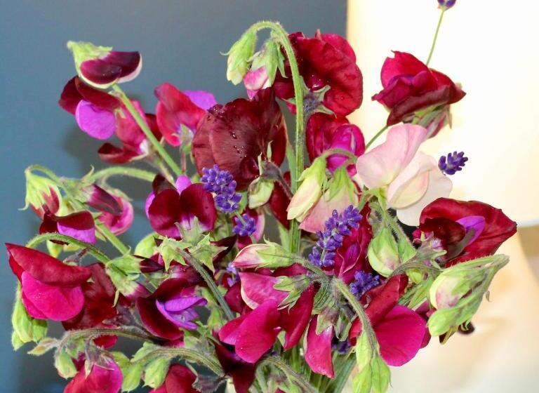 ベッドアンドブレックファースト The Bosham Boathouse