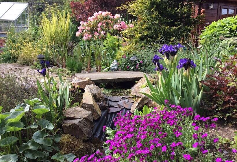 Castleview Bed & Breakfast