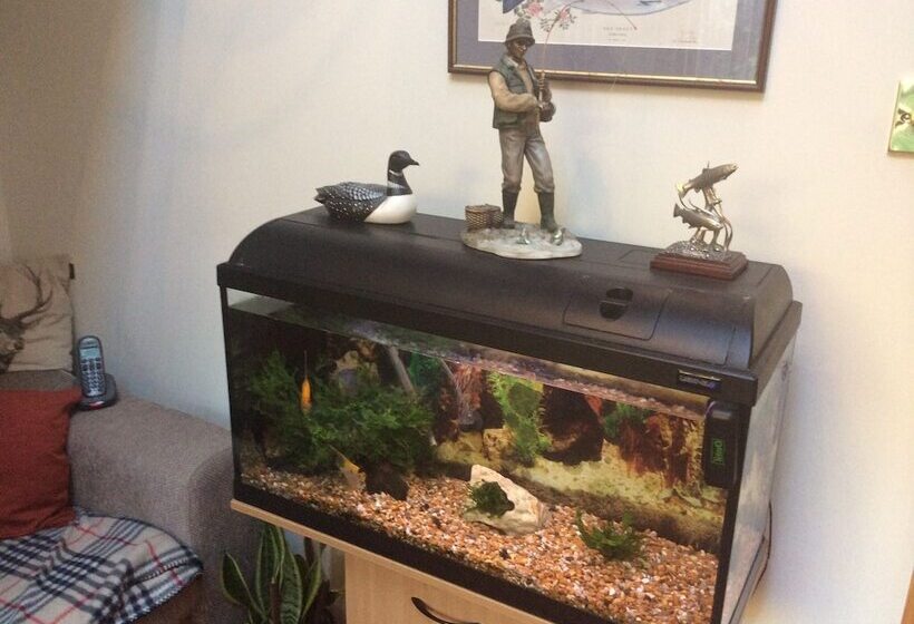 Castleview Bed & Breakfast