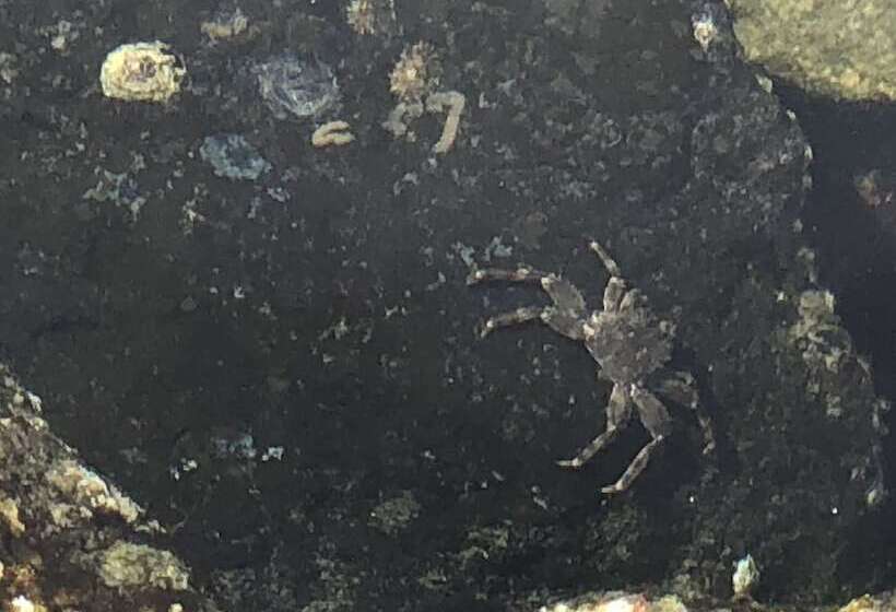 Eden Golf View Motel