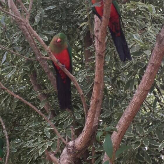 Eden Golf View Motel