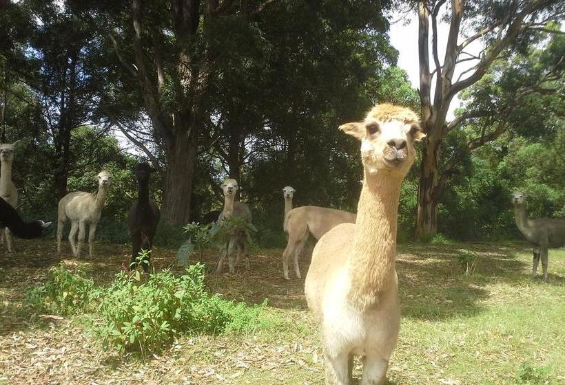 Gloucester On Avon Bed & Breakfast