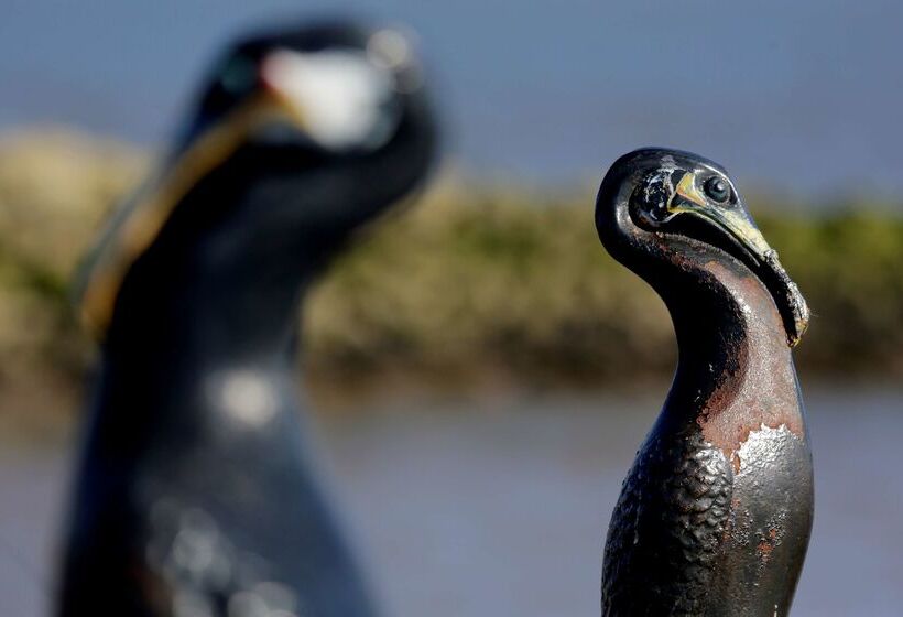 Отель Best Western Lancaster Morecambe Lothersdale