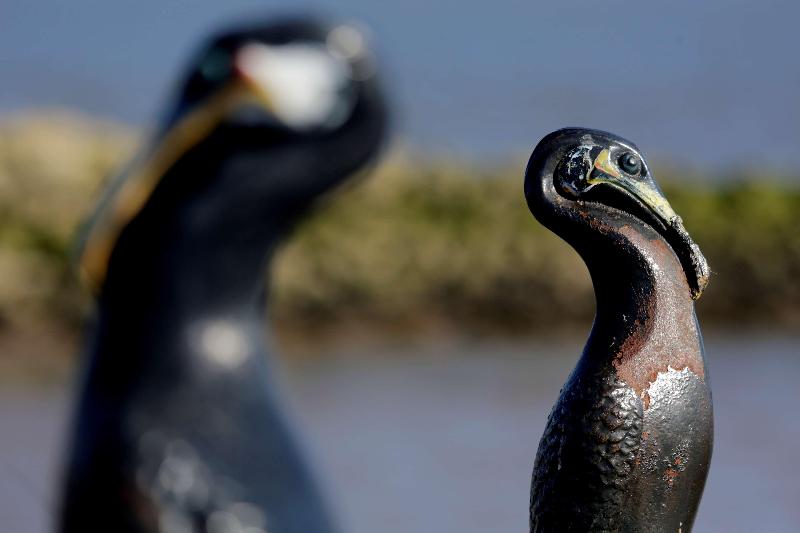 Отель Best Western Lancaster Morecambe Lothersdale