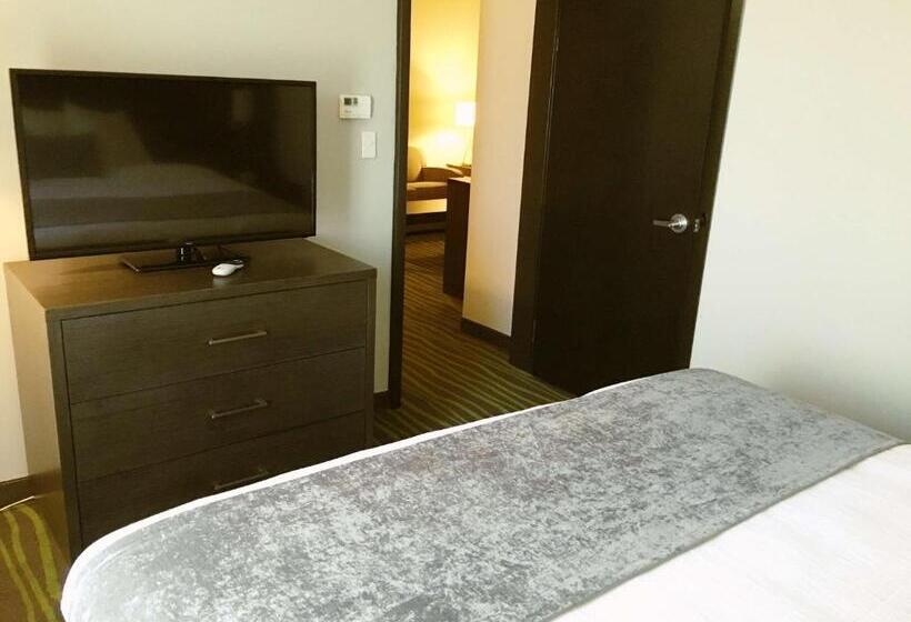 Best Western Plus Prien Lake Hotel & Suites   Lake Charles