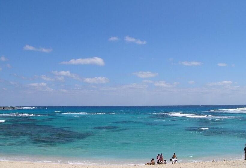 فندق Big Marine Amami